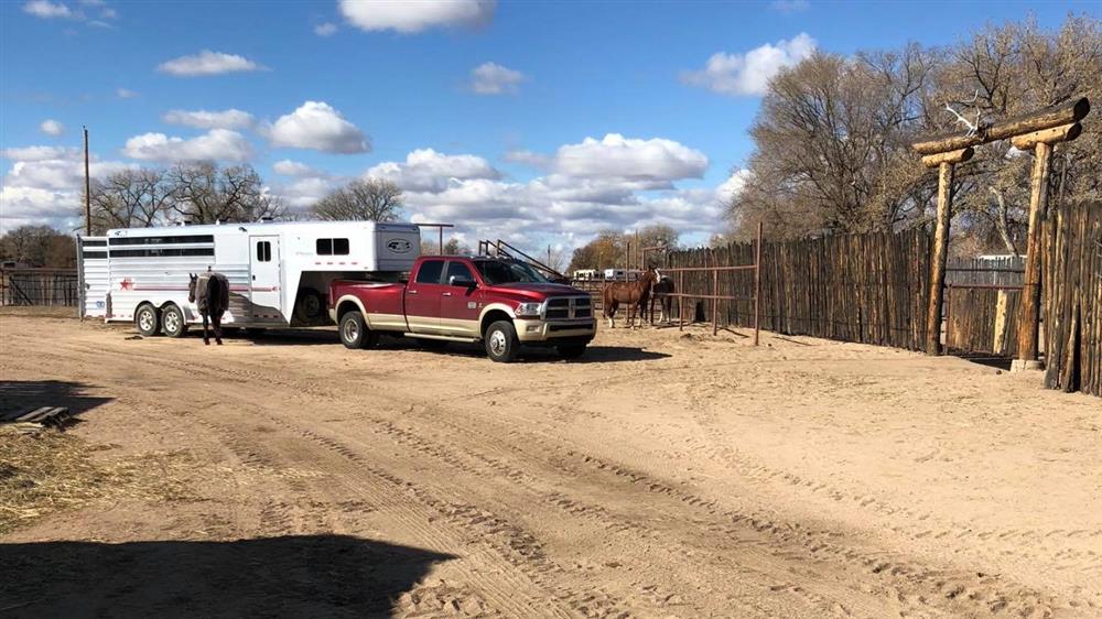 Trailer with truck and horses